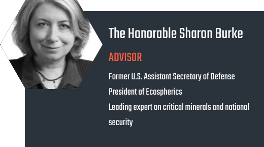 The Honorable Sharon Burke