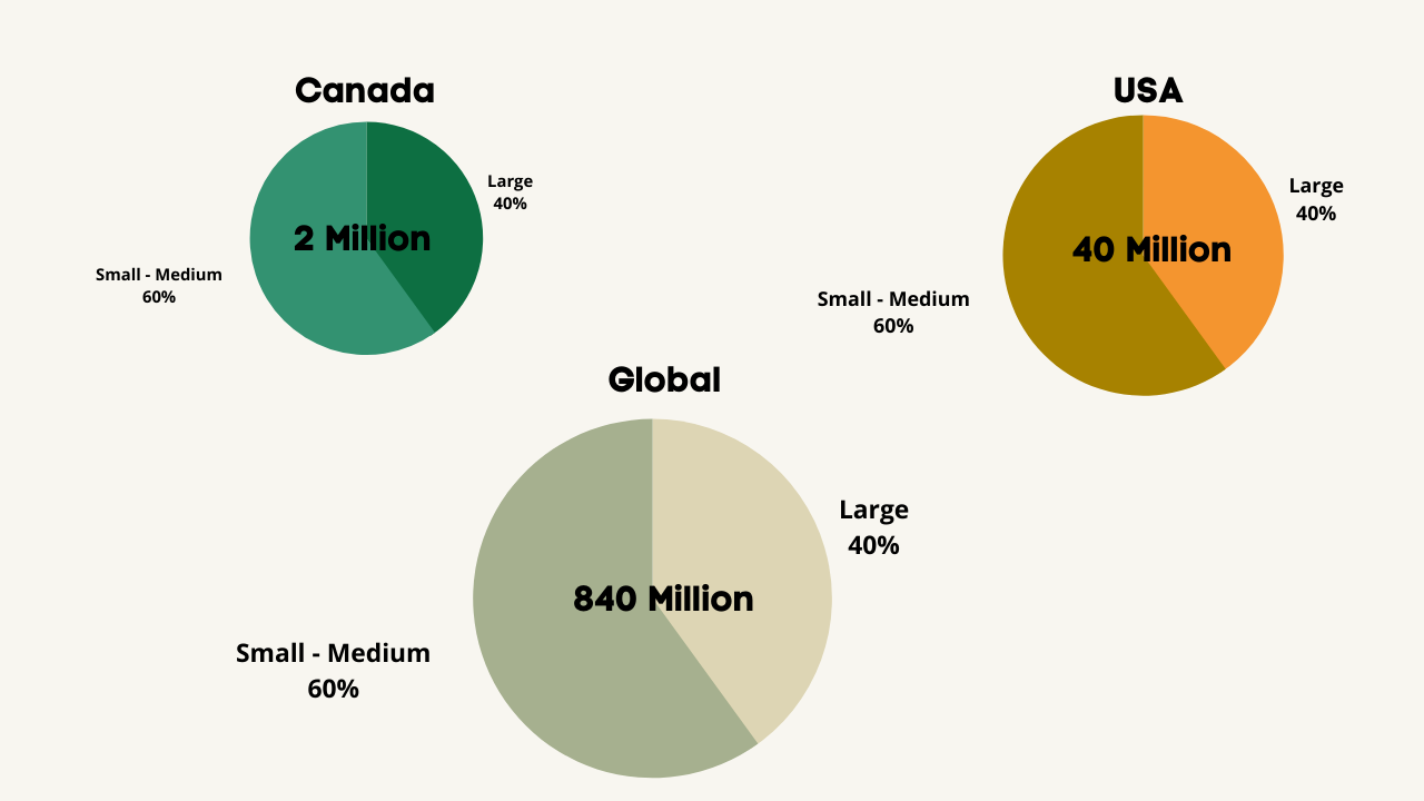 Home Care Market in the US, Canada & Globally
